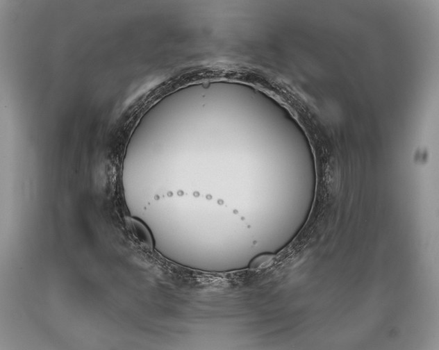 X0000089391302200706221308