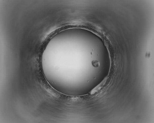 X0000089391304200706221308