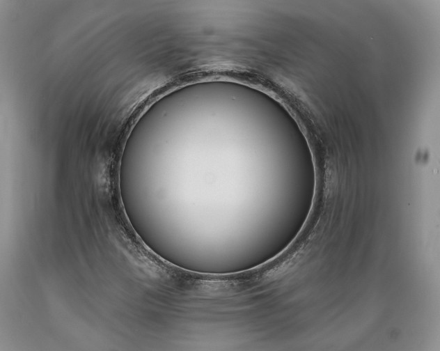 X0000089391305200706221308
