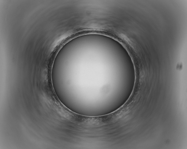 X0000089391307200706221308
