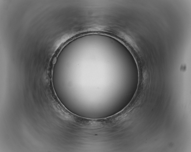 X0000089391308200706221309