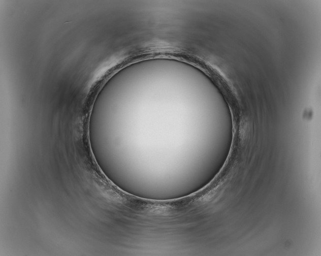 X0000089391309200706221309