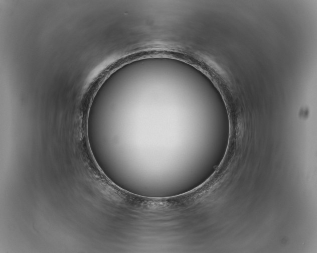 X0000089391310200706221309