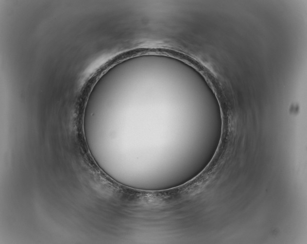 X0000089391311200706221309