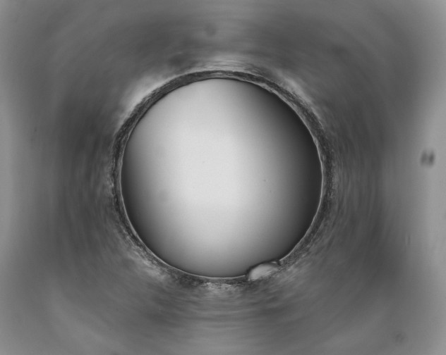 X0000089391312200706221309