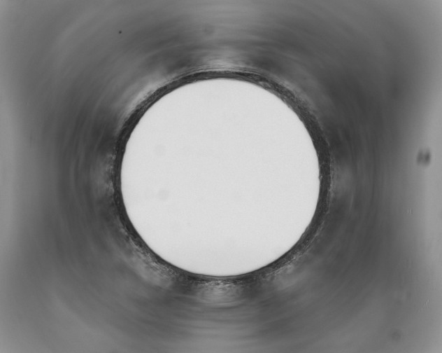 X0000089391314200706221309