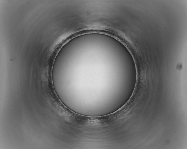 X0000089391315200706221309
