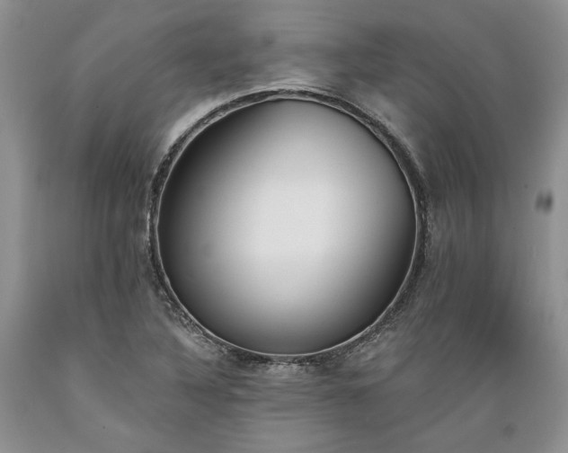 X0000089391316200706221309