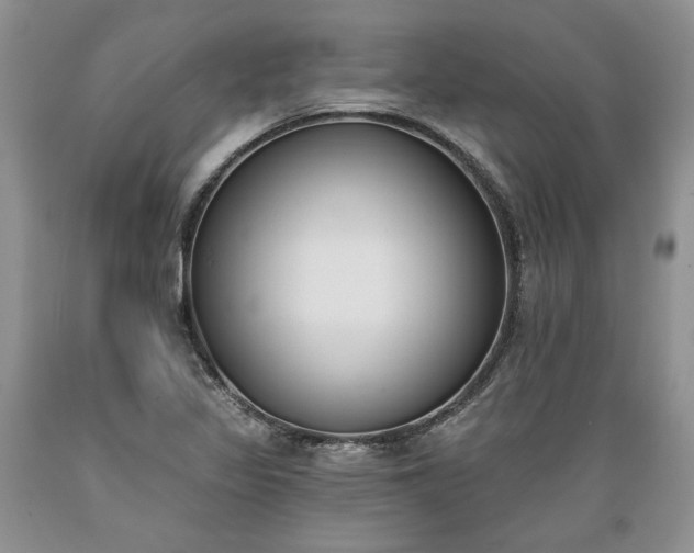 X0000089391317200706221309
