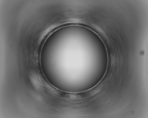 X0000089391318200706221309