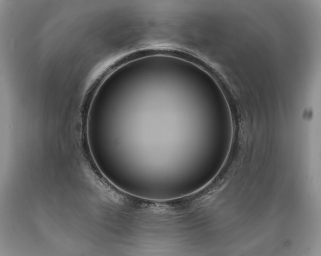 X0000089391319200706221309