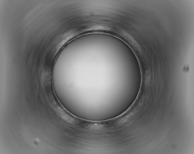 X0000089391321200706221309