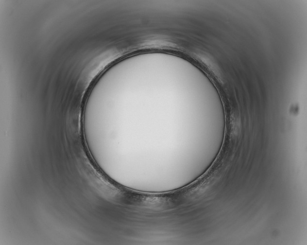 X0000089391322200706221309