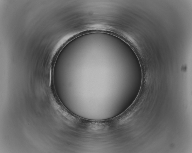 X0000089391323200706221309