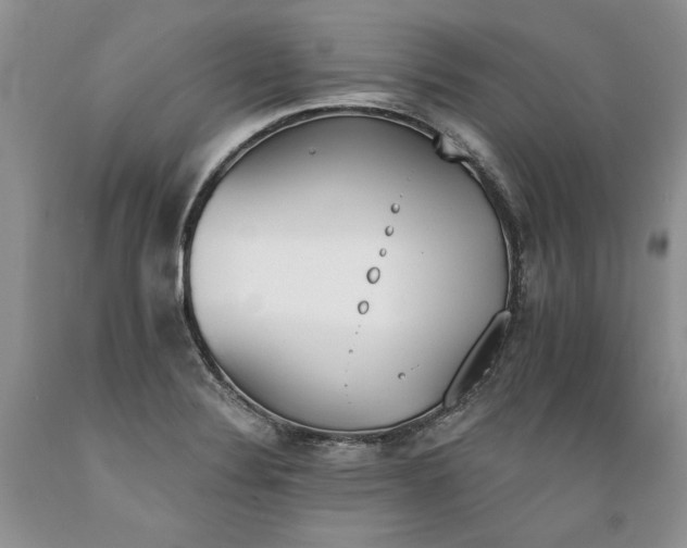 X0000089391324200706221309