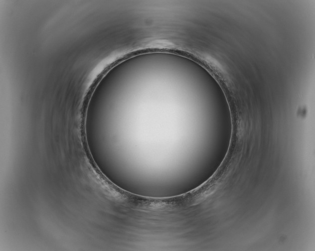 X0000089391326200706221309
