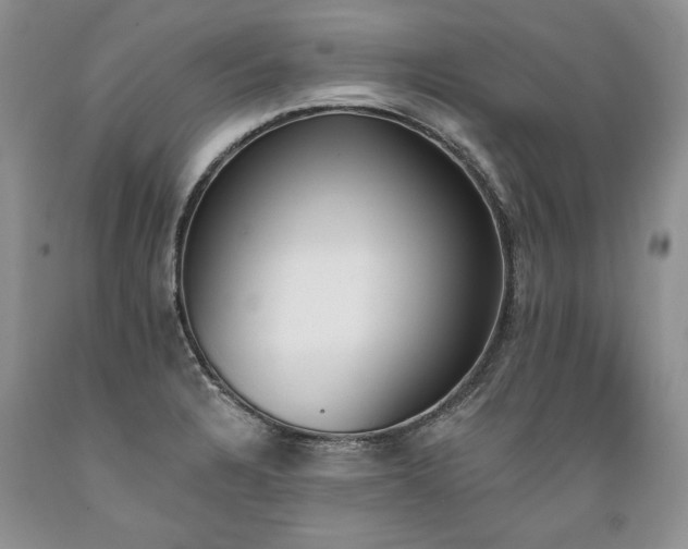 X0000089391328200706221309