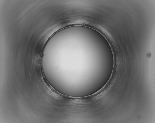 X0000089391329200706221309