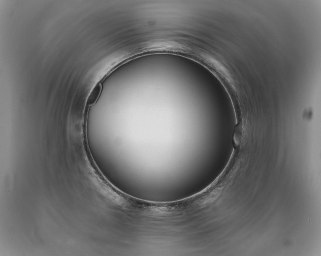 X0000089391330200706221309