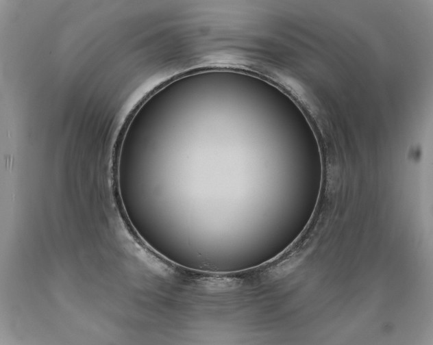 X0000089391331200706221309