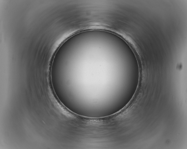 X0000089391333200706221309