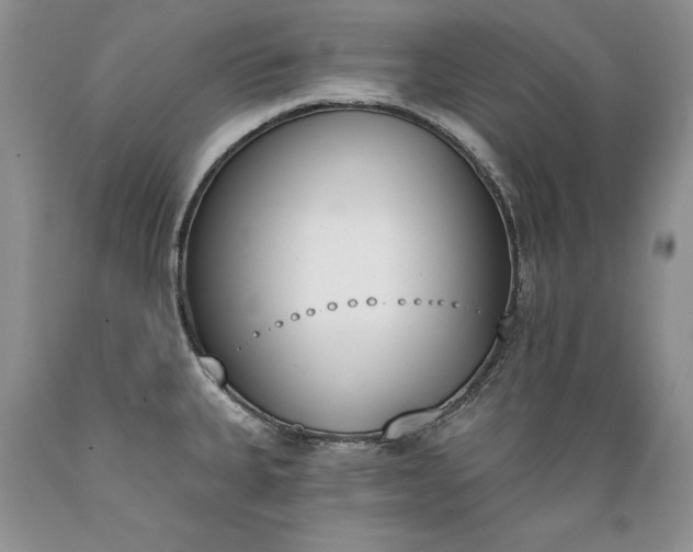 X0000089391335200706221309