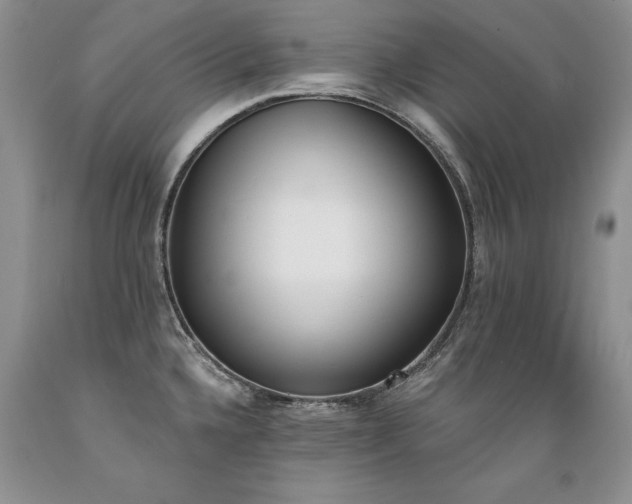 X0000089391336200706221309