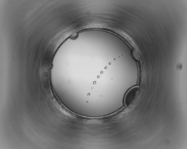 X0000089391337200706221309