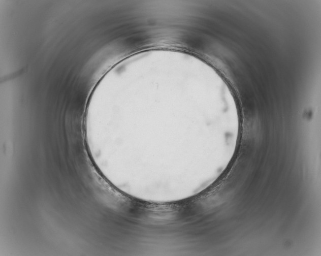 X0000089391338200706221309
