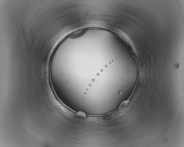 X0000089391339200706221309