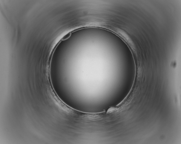 X0000089391340200706221309