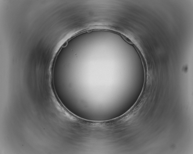 X0000089391341200706221309
