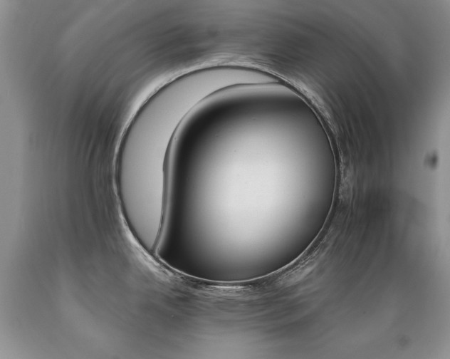 X0000089391342200706221309
