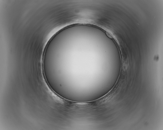 X0000089391343200706221309