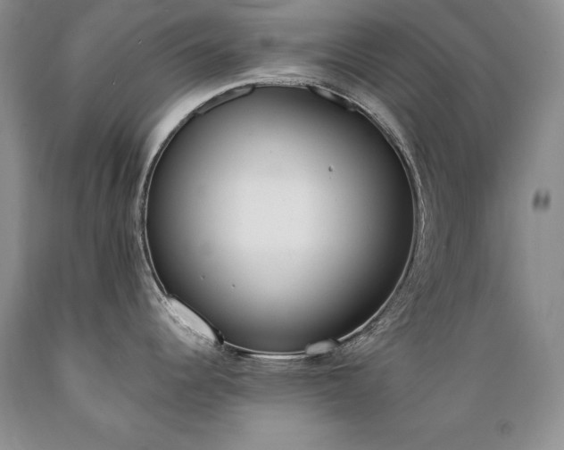 X0000089391344200706221309