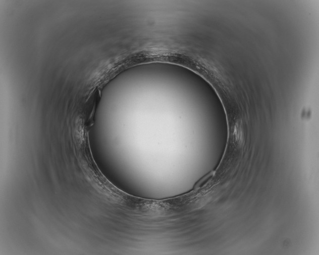 X0000089391348200706221308