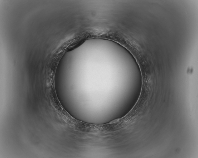 X0000089391349200706221308