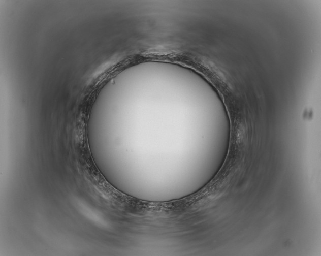 X0000089391350200706221308