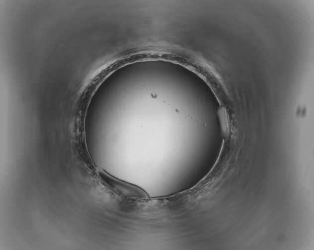 X0000089391352200706221308