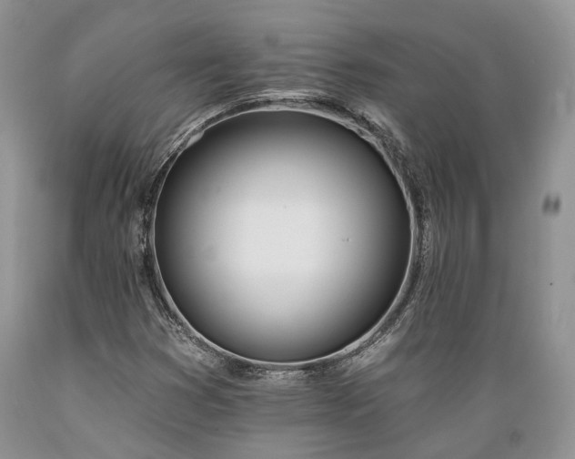 X0000089391353200706221308
