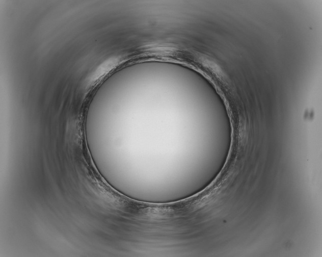 X0000089391354200706221308