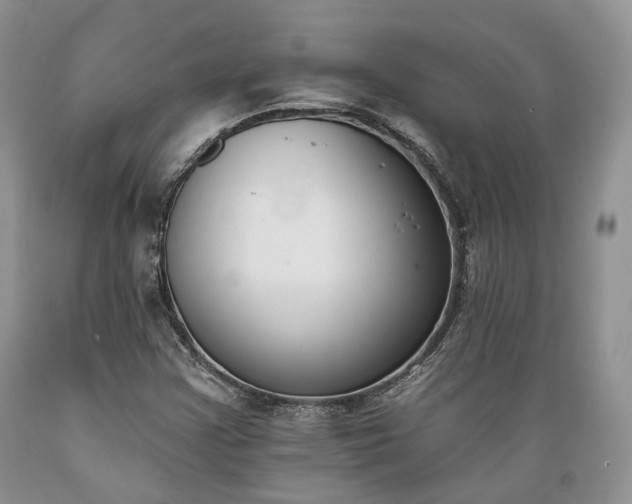 X0000089391355200706221308