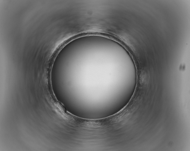 X0000089391356200706221308