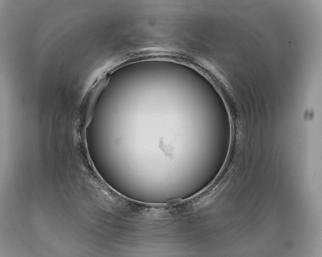 X0000089391357200706221308