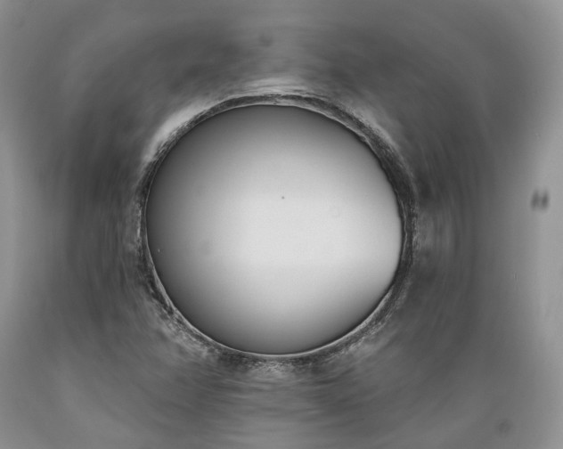 X0000089391358200706221308