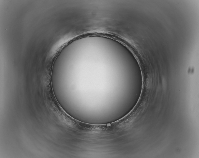 X0000089391359200706221308