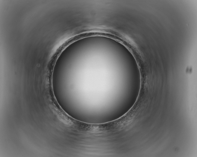 X0000089391360200706221308