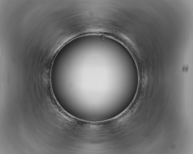 X0000089391361200706221308