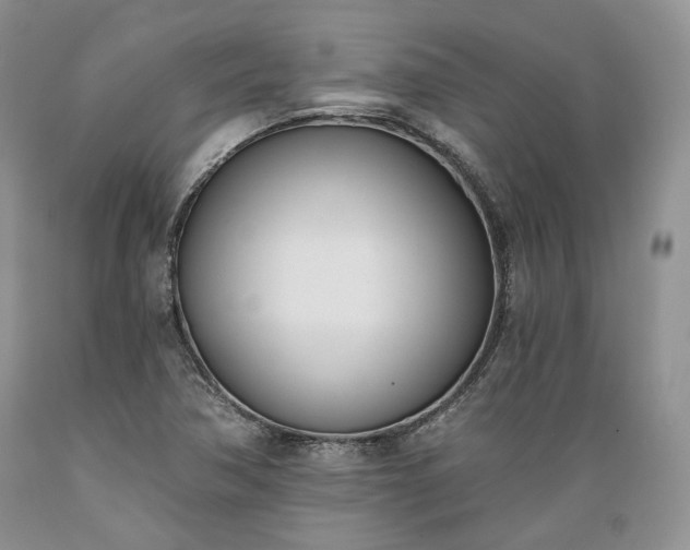 X0000089391362200706221308