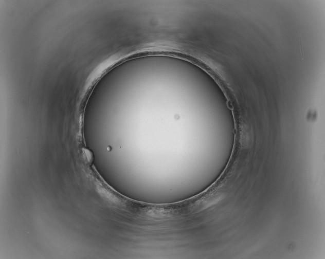X0000089391366200706221308